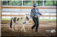 4H-District-15-0483.jpg