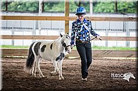 4H-District-15-0484.jpg