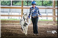 4H-District-15-0485.jpg