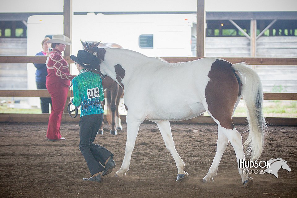 4H-District-15-0804.jpg