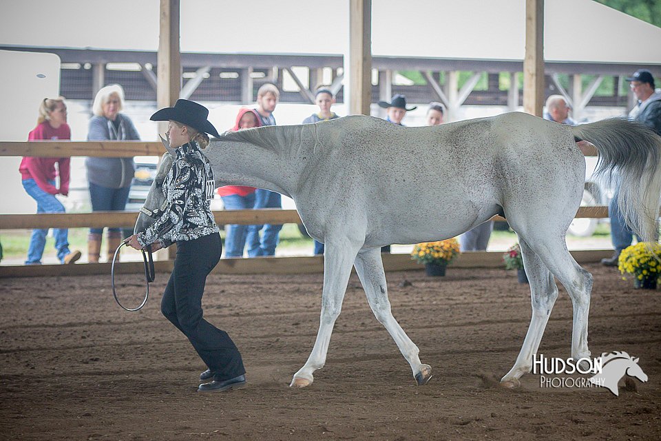 4H-District-15-0808.jpg