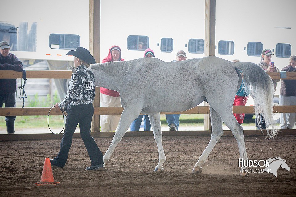 4H-District-15-0810.jpg