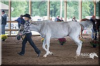 4H-District-15-0806.jpg