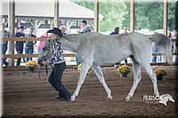 4H-District-15-0807.jpg