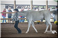 4H-District-15-0808.jpg