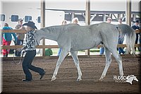 4H-District-15-0809.jpg