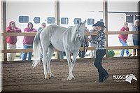 4H-District-15-0811.jpg