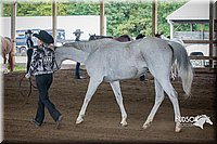 4H-District-15-0820.jpg