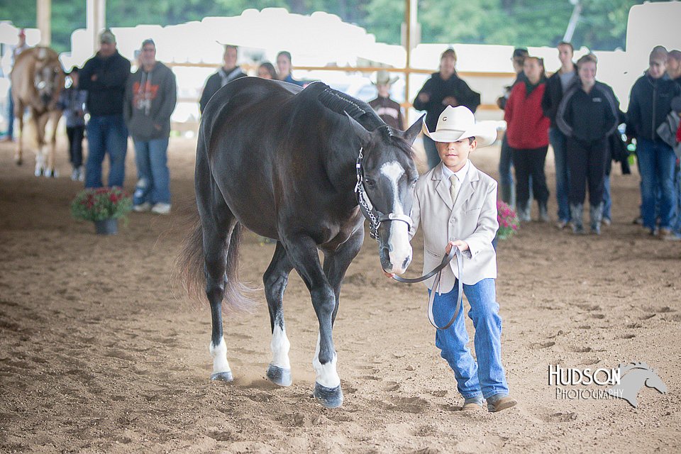 4H-District-15-0844.jpg