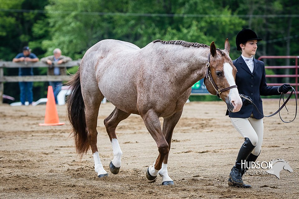 4H-FUN-060615-0140.jpg