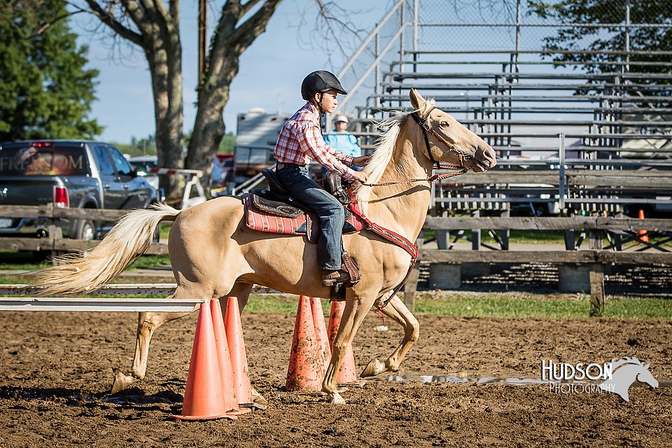 LCFAIR15-5206.jpg