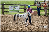 LCFAIR15-5866.jpg