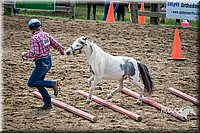 LCFAIR15-5869.jpg