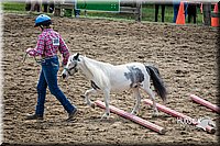 LCFAIR15-5870.jpg