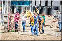 LCFAIR15-6278.jpg