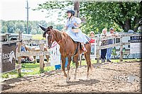 LCFAIR15-6309.jpg