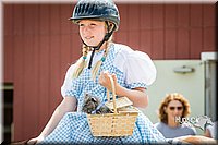 LCFAIR15-6325.jpg