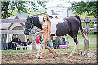 LCFAIR15-6440.jpg