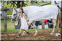 LCFAIR15-6460.jpg