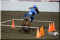 4H-State-2015-0380.jpg