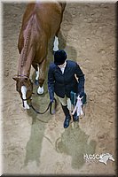 4H-State-2015-1336.jpg