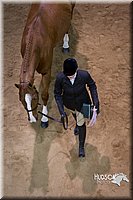 4H-State-2015-1337.jpg