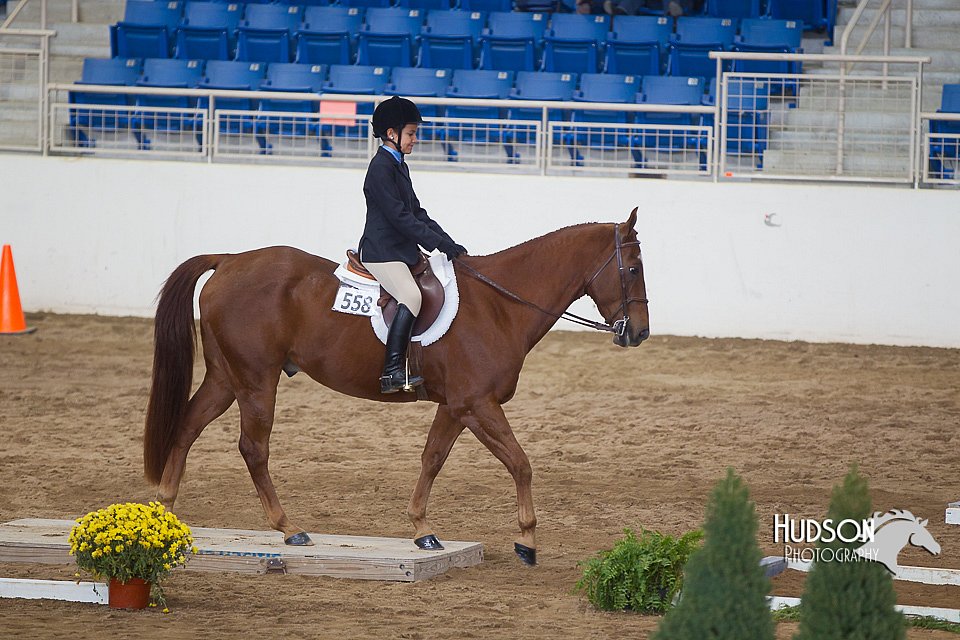 4H-State-2015-0858.jpg