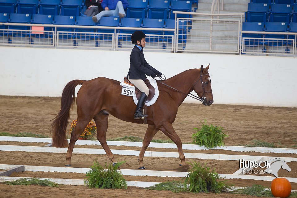 4H-State-2015-0862.jpg