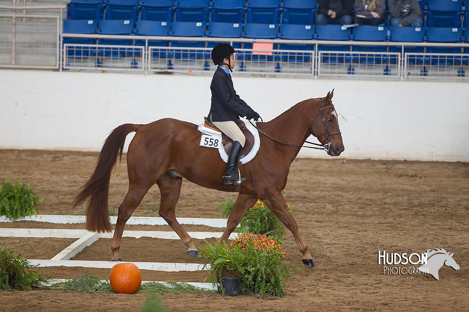 4H-State-2015-0864.jpg