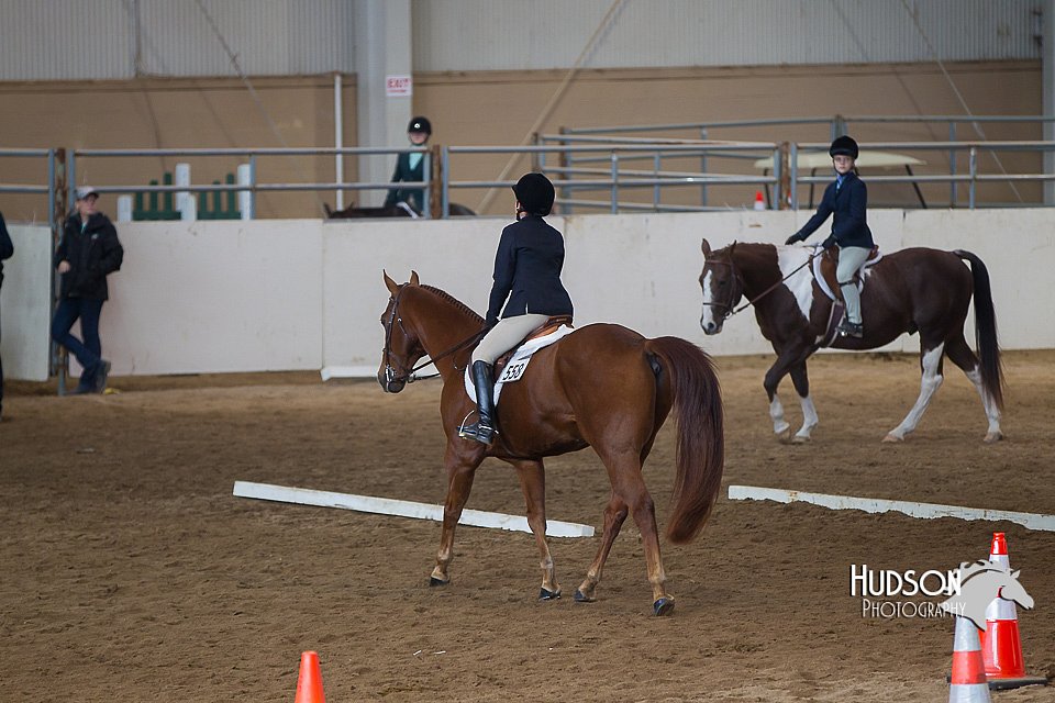 4H-State-2015-0880.jpg