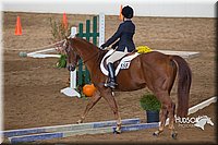 4H-State-2015-0874.jpg