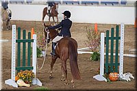 4H-State-2015-0875.jpg