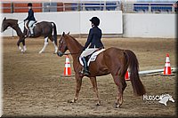 4H-State-2015-0877.jpg