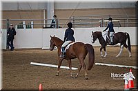 4H-State-2015-0880.jpg