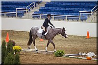 4H-State-2015-0753.jpg