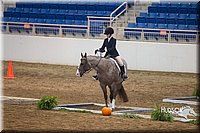 4H-State-2015-0754.jpg