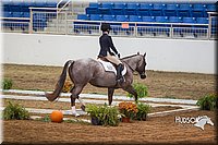 4H-State-2015-0757.jpg