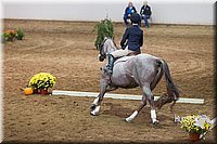 4H-State-2015-0764.jpg