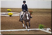 4H-State-2015-0765.jpg