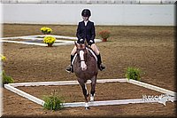 4H-State-2015-0766.jpg