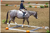 4H-State-2015-0773.jpg