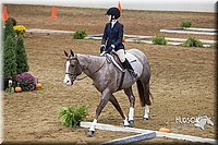 4H-State-2015-0774.jpg