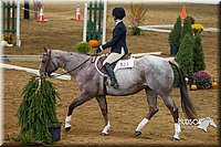 4H-State-2015-0775.jpg