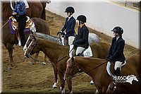 4H-State-2015-0783.jpg