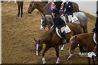 4H-State-2015-0798.jpg