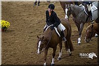 4H-State-2015-0803.jpg