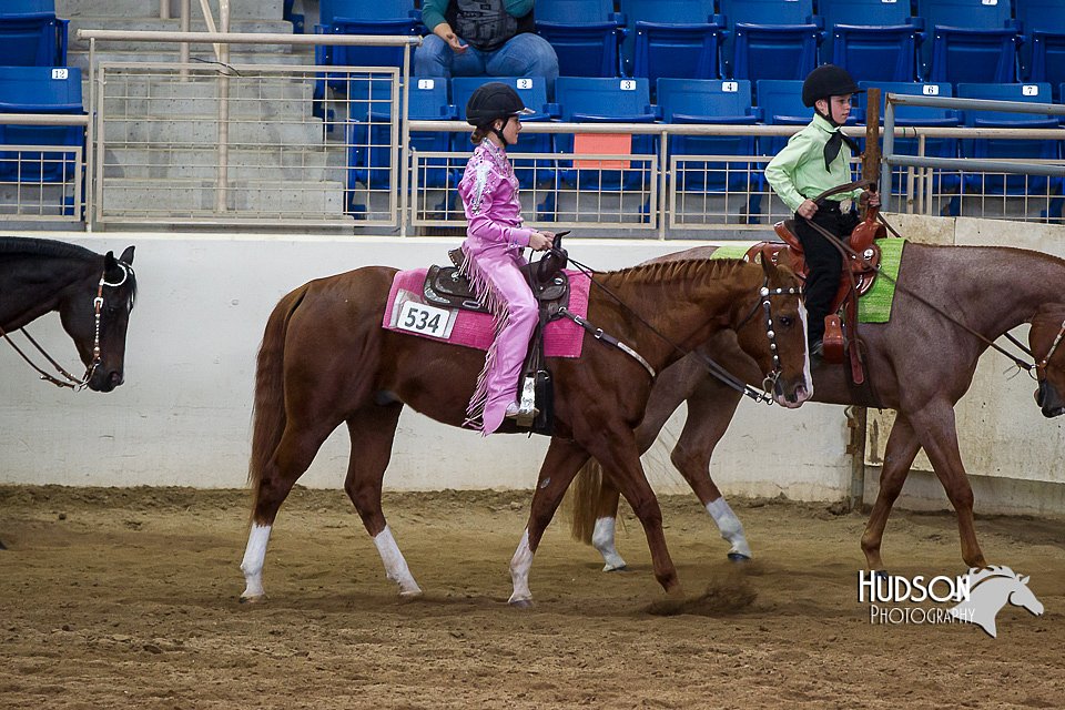 4H-State-2015-0340.jpg