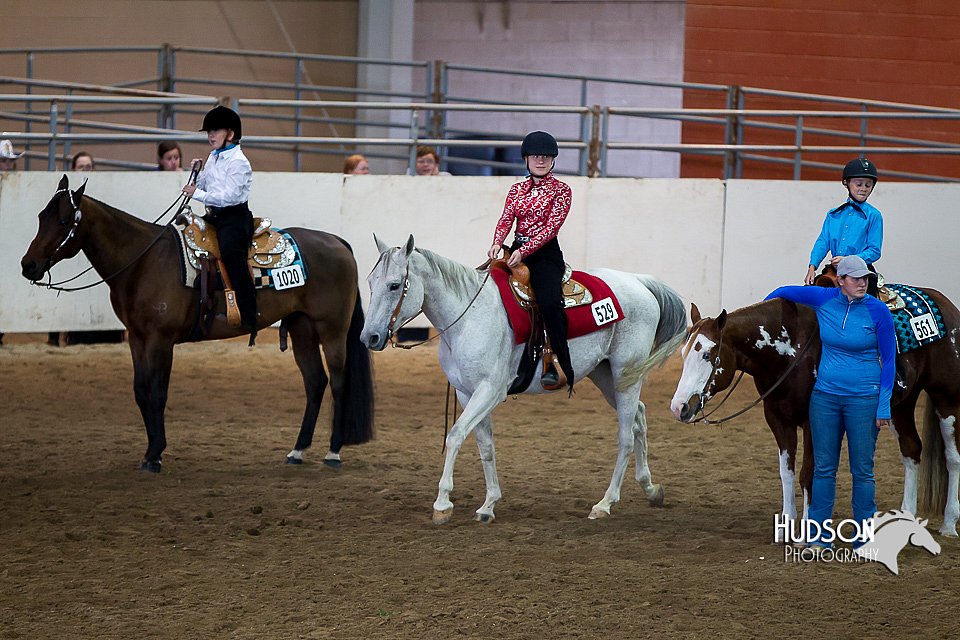 4H-State-2015-0248.jpg