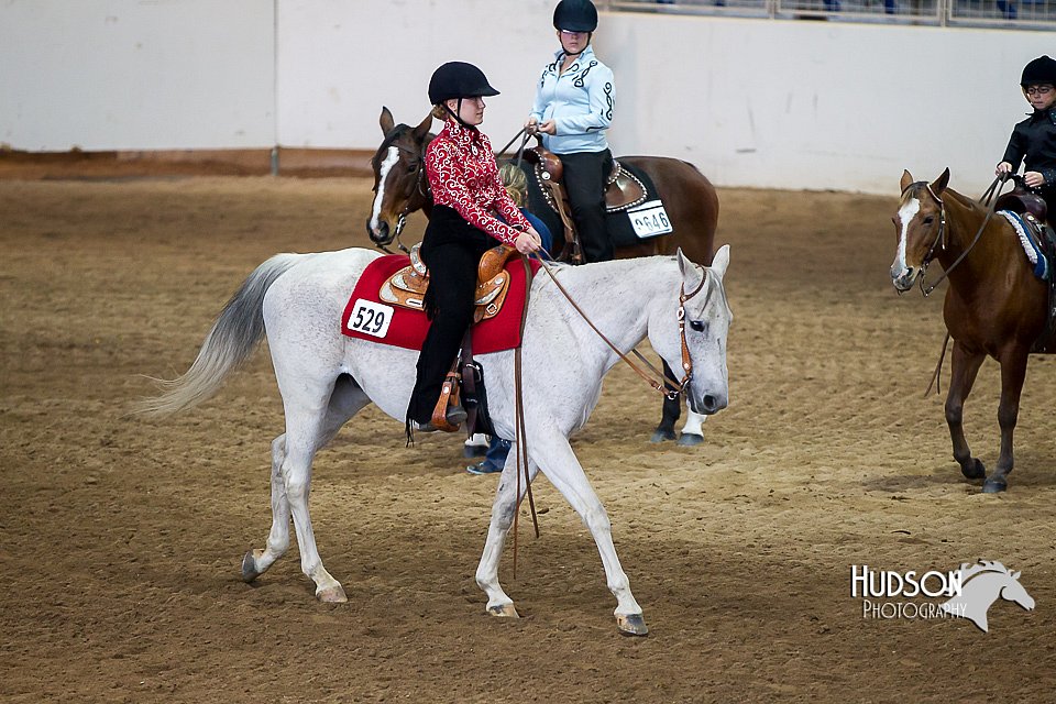 4H-State-2015-0249.jpg