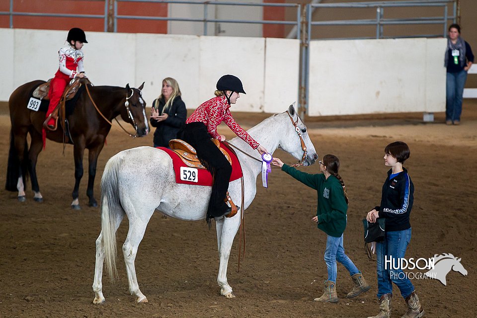 4H-State-2015-0252.jpg